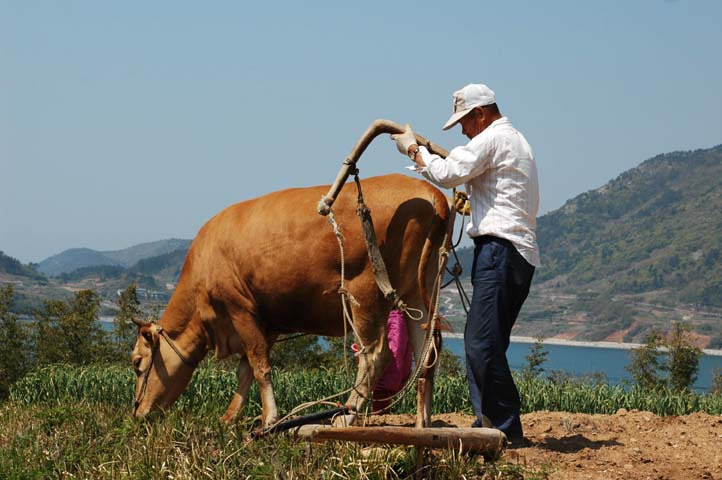 소야소야 이미지