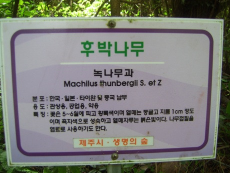 새오름 이미지