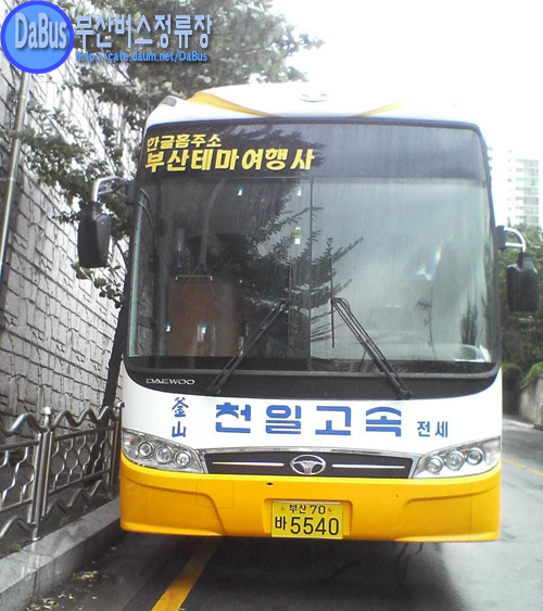 천일관광 이미지