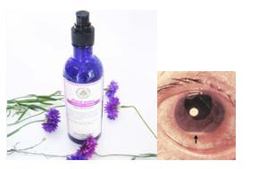 �̹����� Ŭ���ϸ� ������ ���� �� �ֽ��ϴ�.