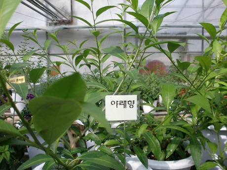 밤두둑농원 이미지