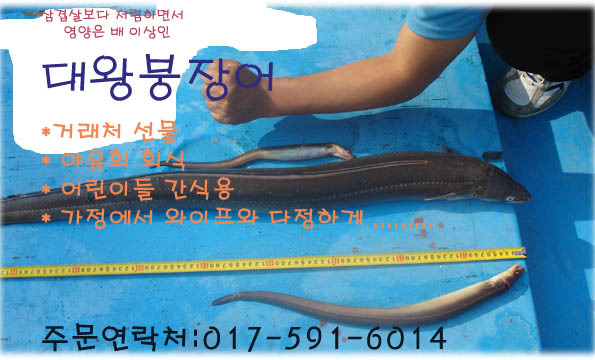 바다장어 이미지