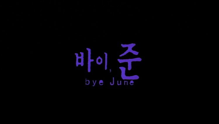 더인스타일 이미지