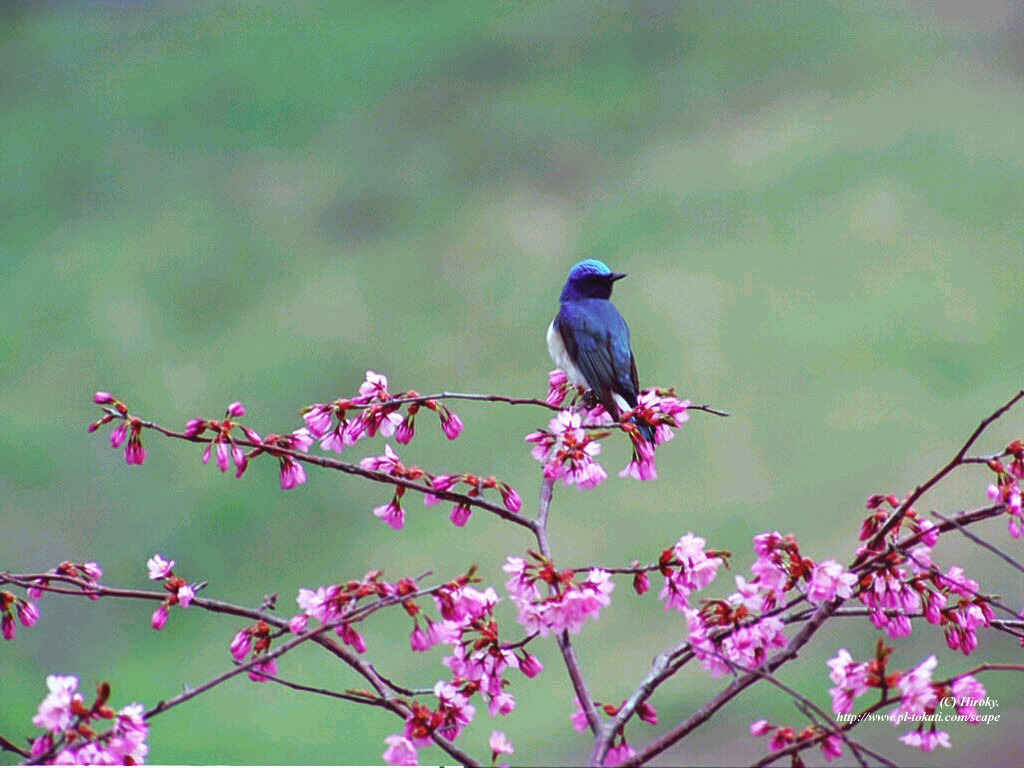 다와서 이미지