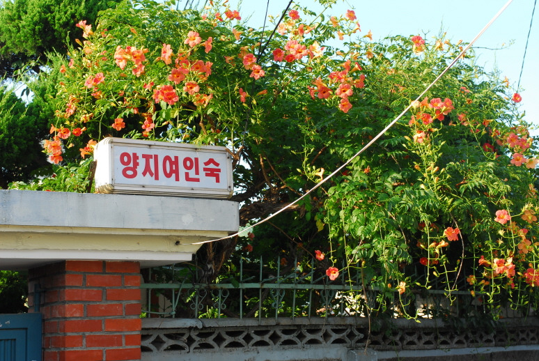 양지여인숙 이미지