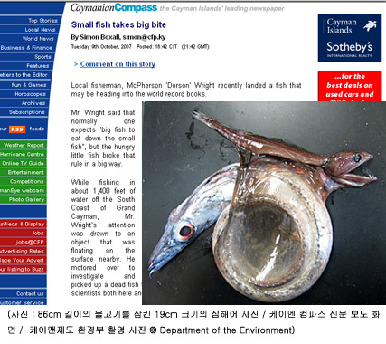 꿀꺽 이미지