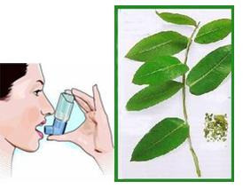 À̹ÌÁö¸¦ Ŭ¸¯ÇÏ¸é ¿øº»À» º¸½Ç ¼ö ÀÖ½À´Ï´Ù.